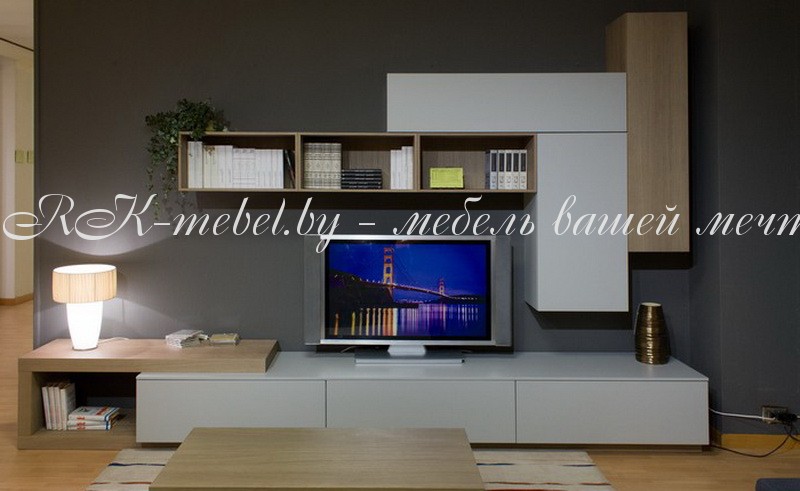 Стенка в зал фото №1