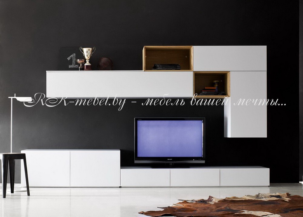 Модульная система для гостиной фото №1