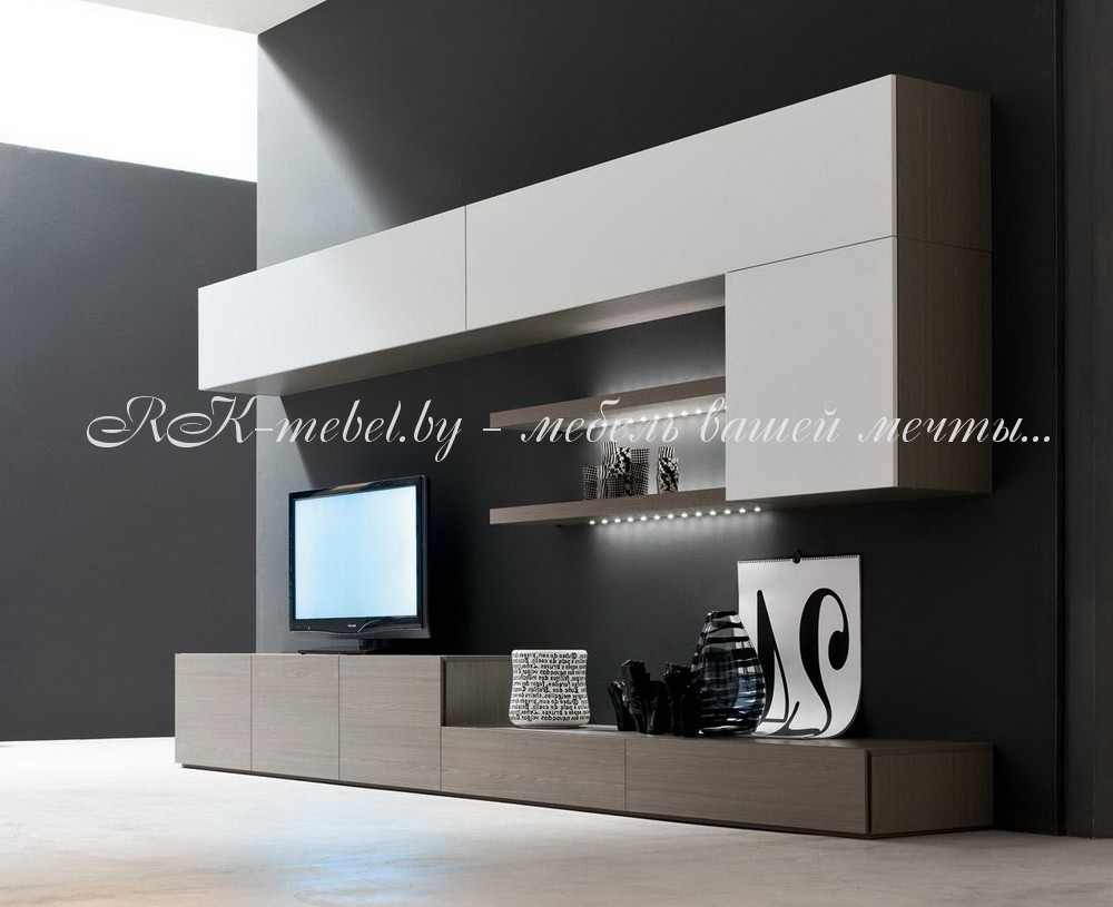 Корпусная мебель в гостиную фото №1