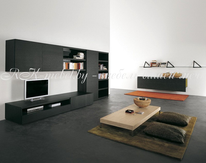 Модульная система темного цвета фото №1