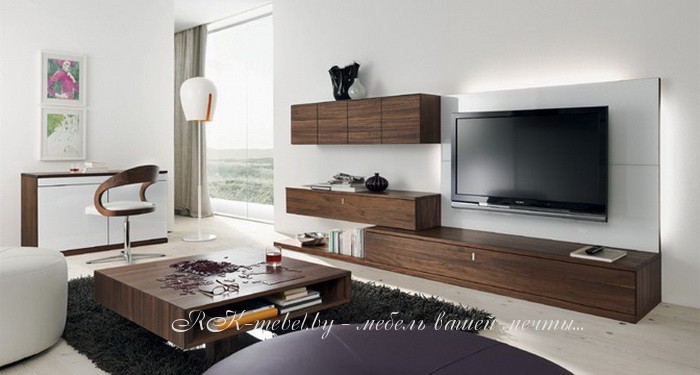 Модульная система в гостиную фото №1