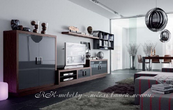 Модульная система черного цвета фото №1