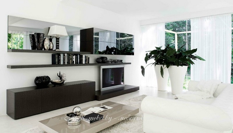 Стенка для гостиной темного цвета фото №1