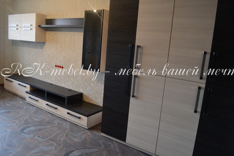 Корпусная мебель для гостиных фото №2