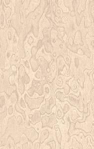 Пластик Arpa фото №121