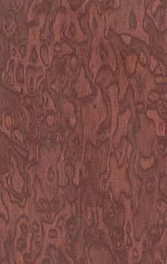 Пластик Arpa фото №99