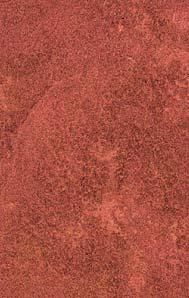 Пластик Arpa фото №41