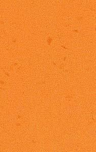 Пластик Arpa фото №24