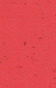 Пластик Arpa фото №23