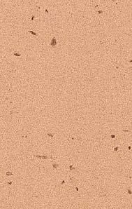 Пластик Arpa фото №22