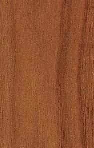 Пластик Arpa фото №81