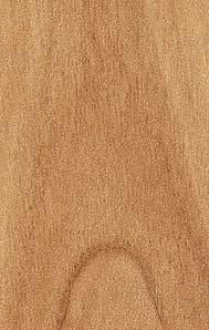 Пластик Arpa фото №83