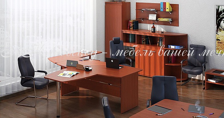 Мебель для кабинета фото №1