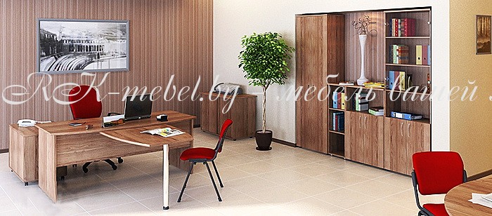 Кабинет руководителя фото №1